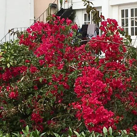 Apartment Flores *